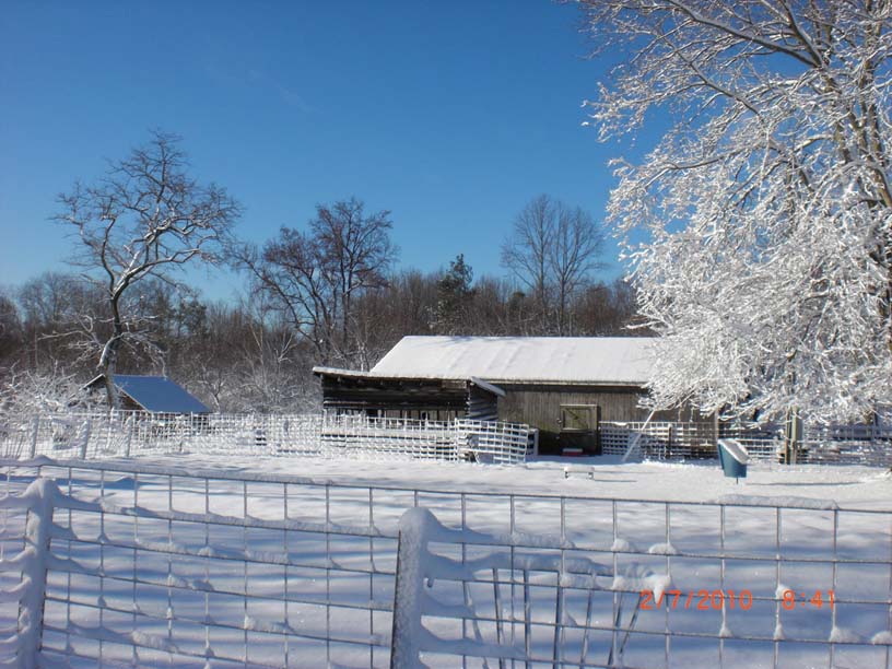Baby Barn